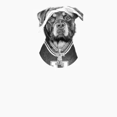 Bear The Rottweiler